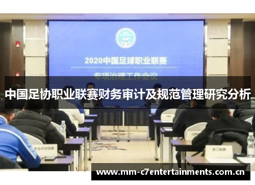 中国足协职业联赛财务审计及规范管理研究分析 中国足协职业联赛财务审计及规范管理研究分析